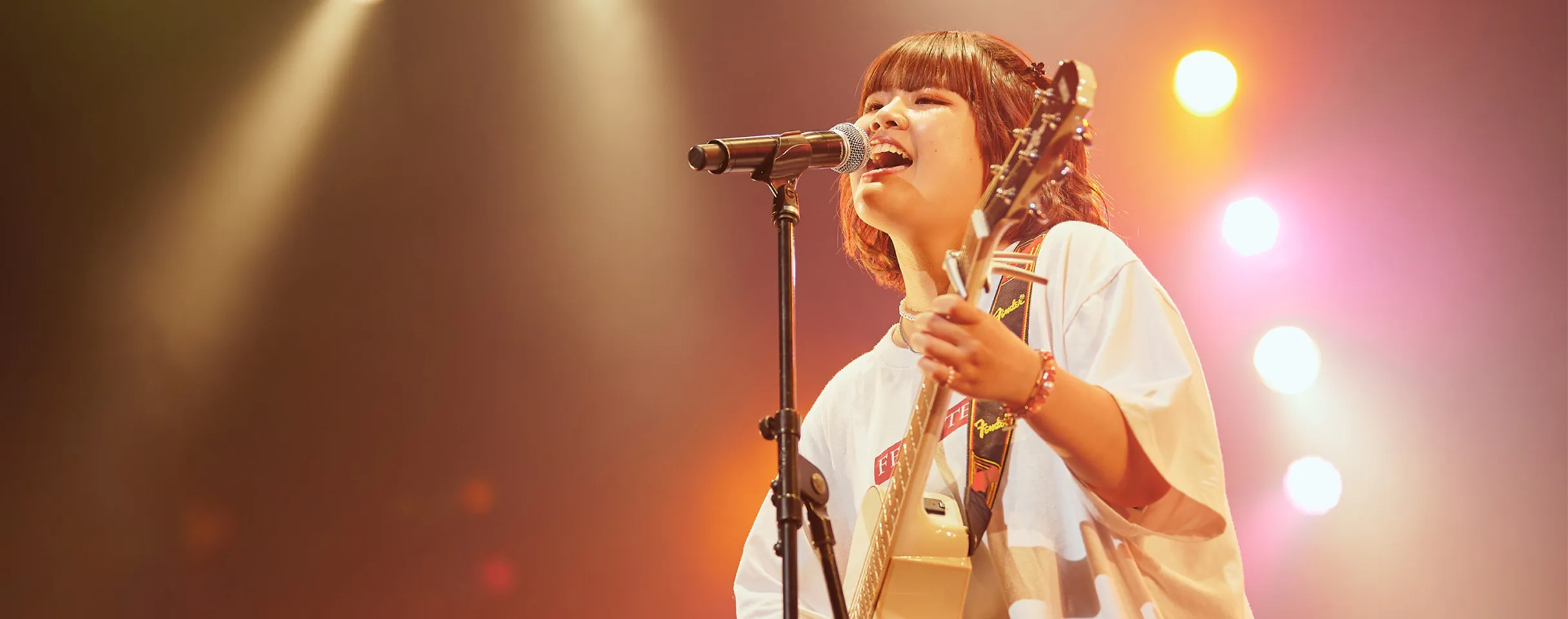 ヴォーカル / ミュージシャン