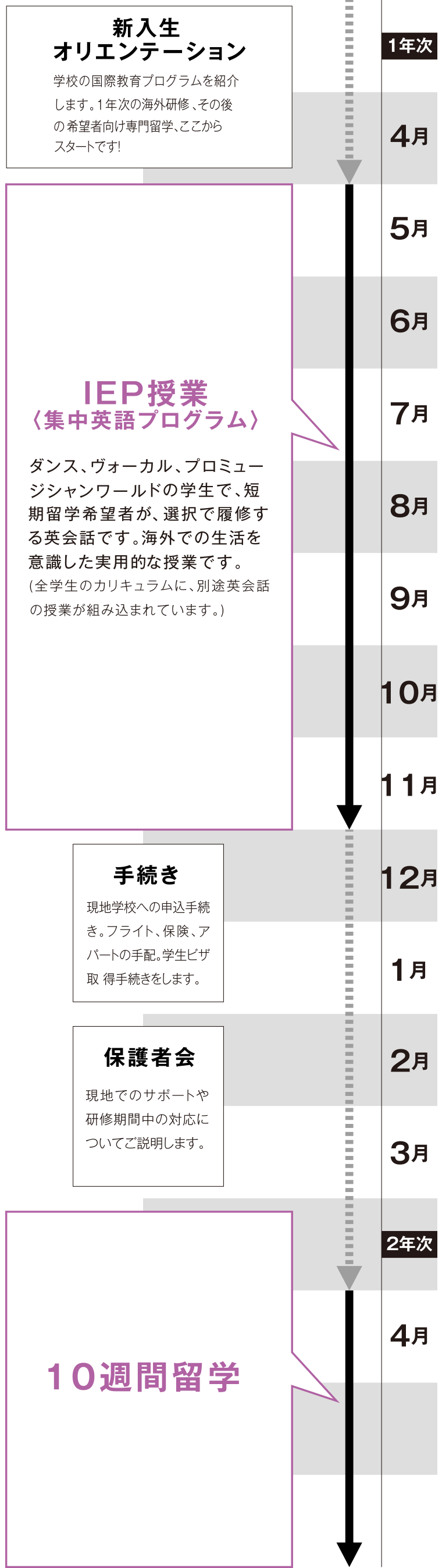 出国から帰国までのスケジュール